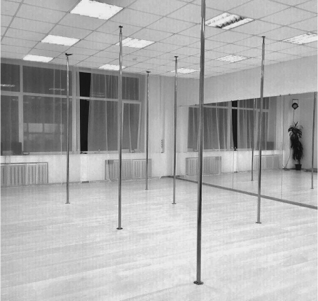 Зал студии Pole Dance
