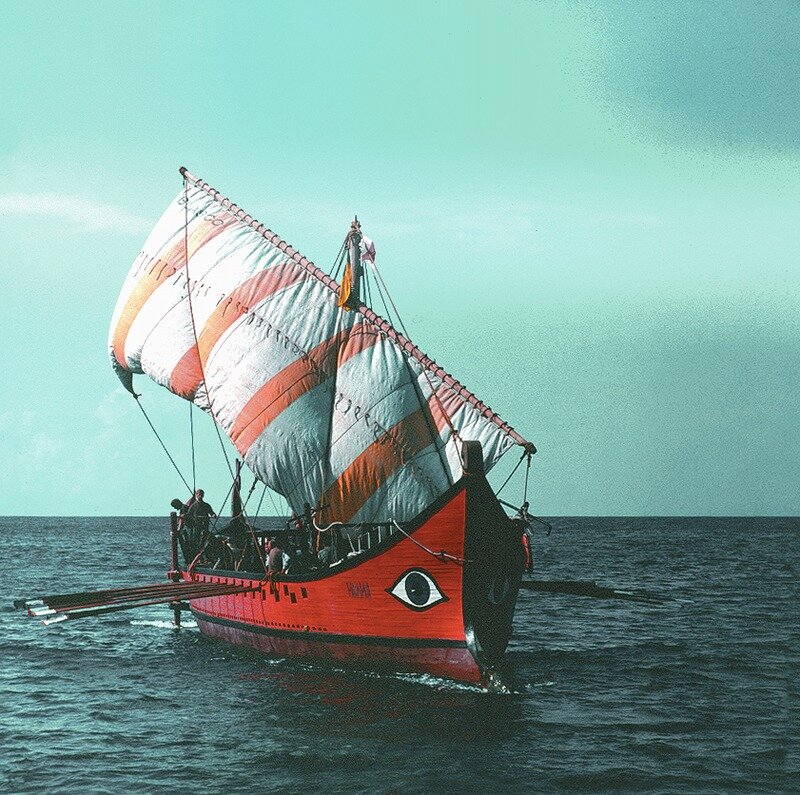 Вперед, на север!