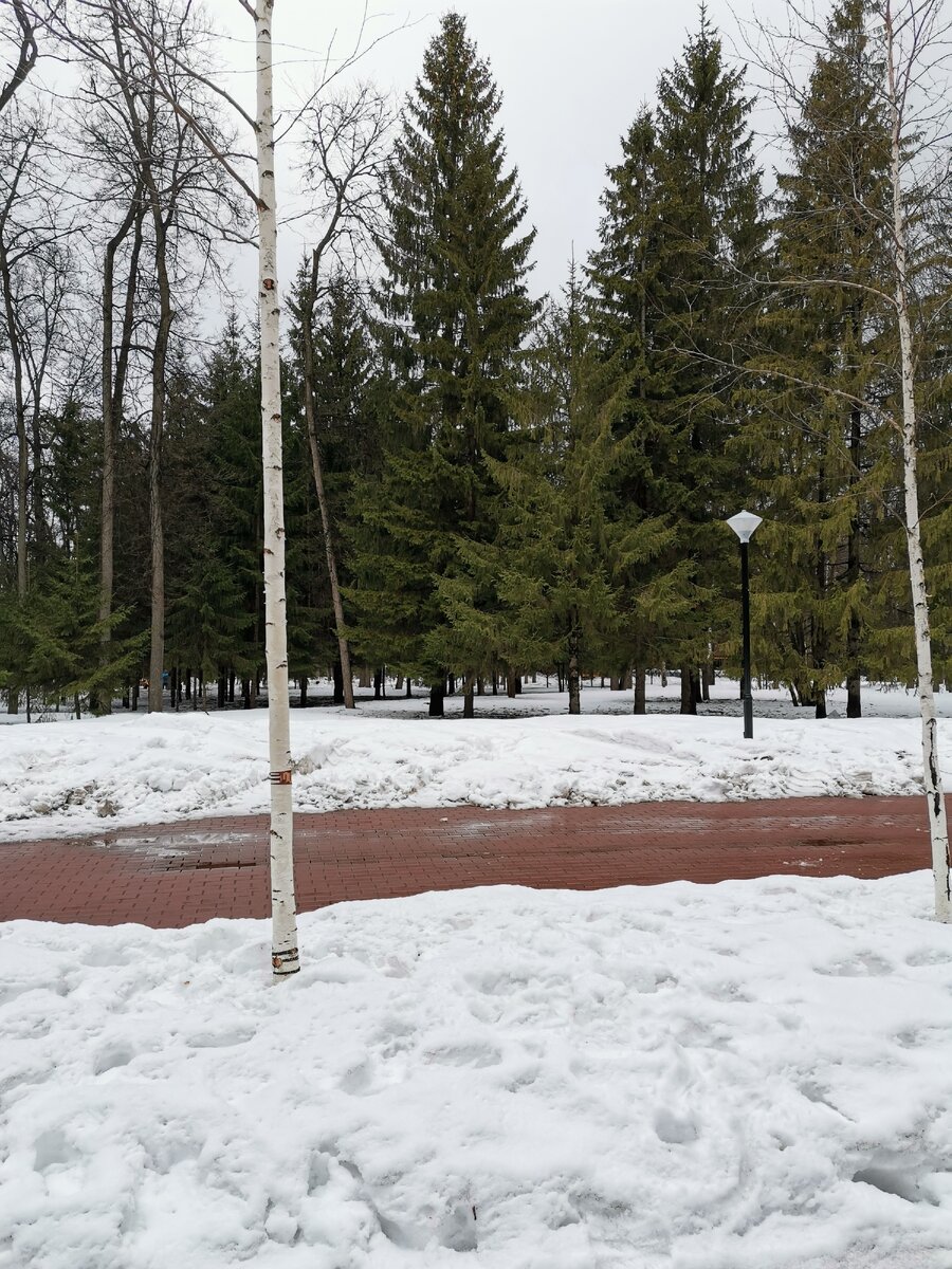 В парке, Уфа парк им. М. Гафури