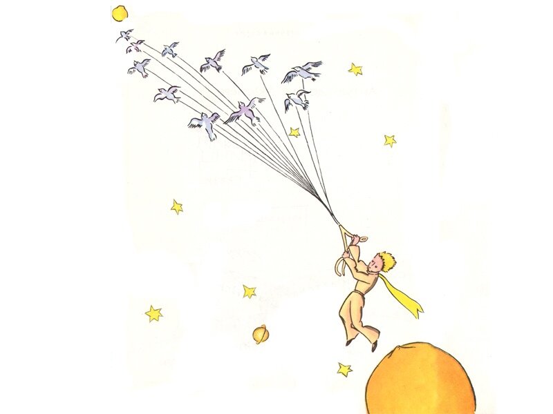 Источник иллюстрации: https://hsepress.ru/articles/2020-04-06/sekrety-malenkogo-princa