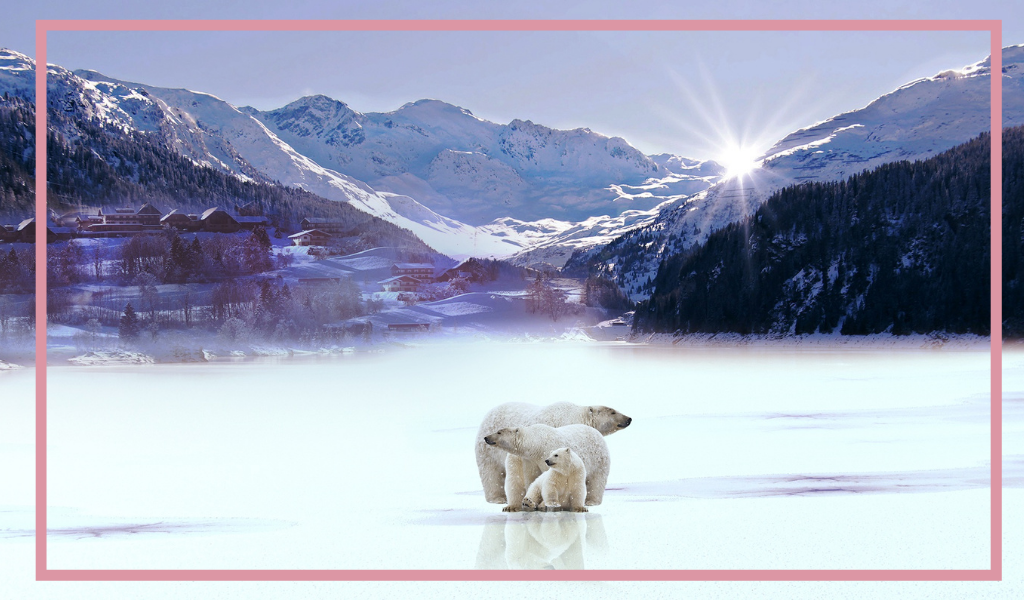 Фотография из открытых источников