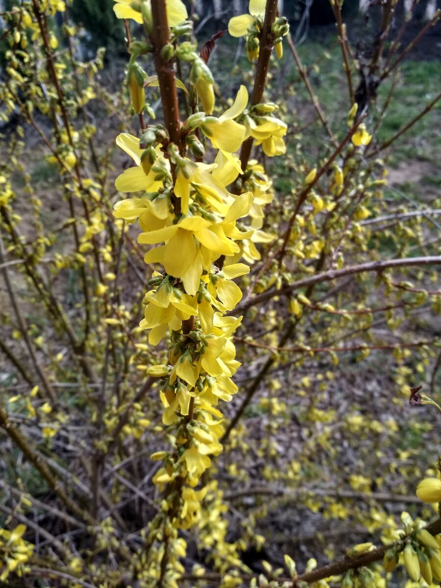 Скоро лето👍