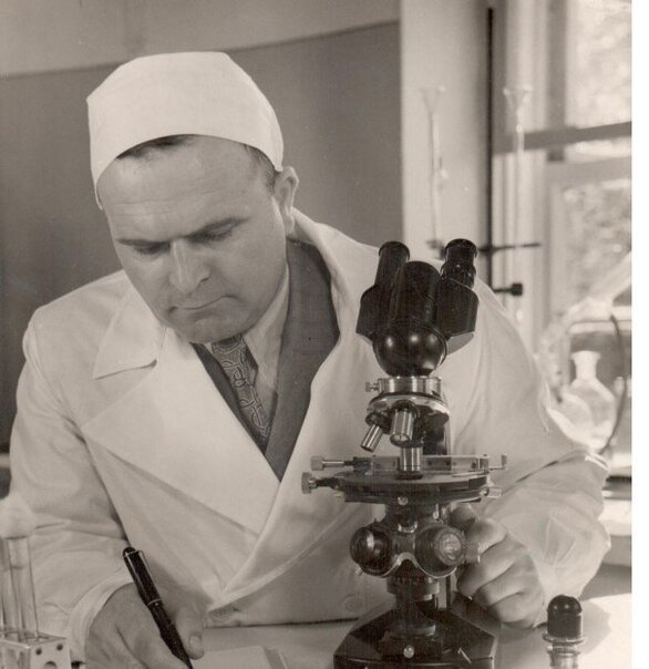 А.В. Дорогов