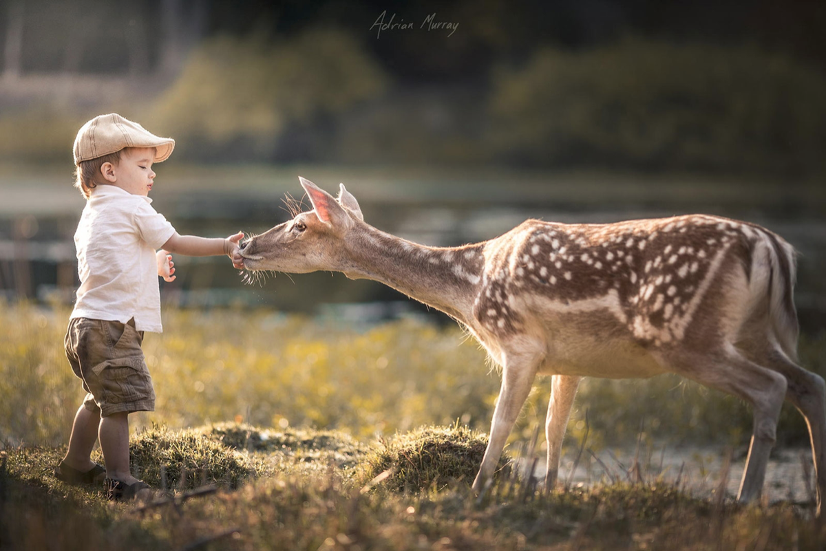  © Adrian Murray | Эдриан С. Мюррей «Волшебное детство»