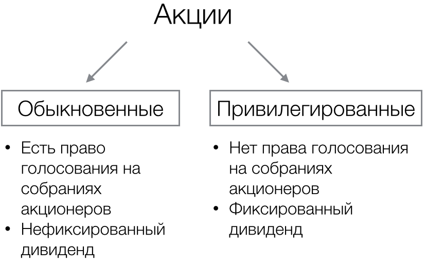 Отличие привилегированных акций