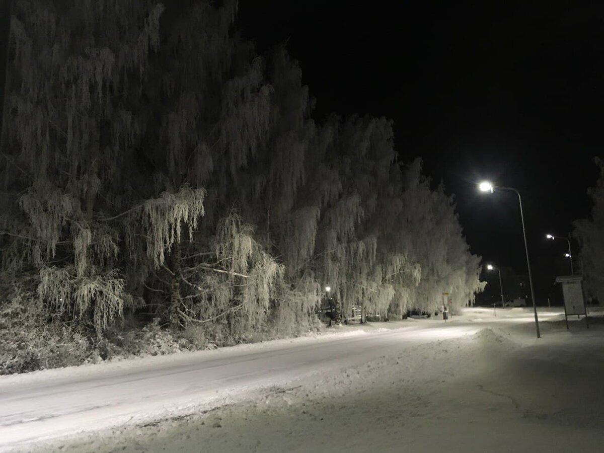 Дорога домой