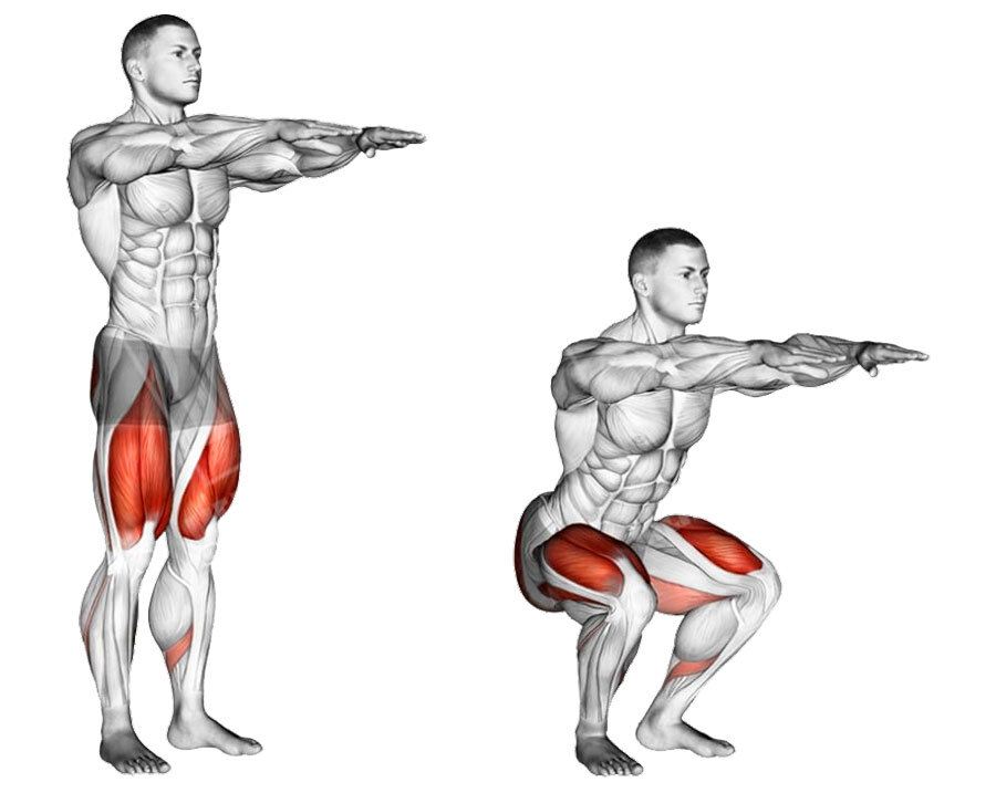 Анатомия упражнения.