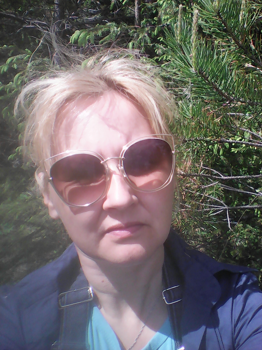 Любимый лес