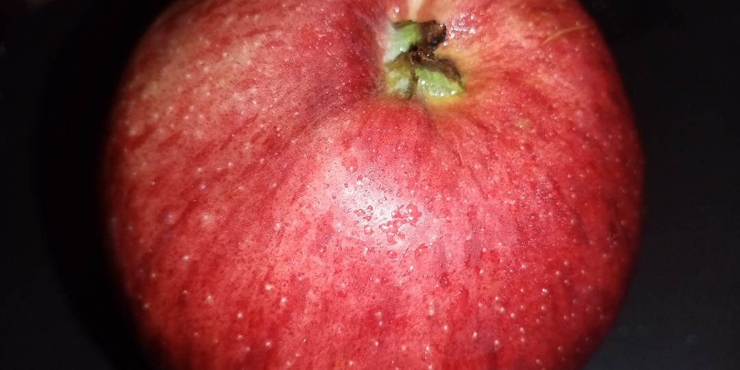 Хочешь жрать - сьешь яблочко,не хочешь яблочко- не хочешь жрать".