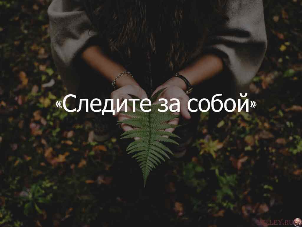 Не хочу следить за собой. Следите за собой. Следи за собой цитаты. Следите лучше за собой. Следите за собой а не за другими ц.