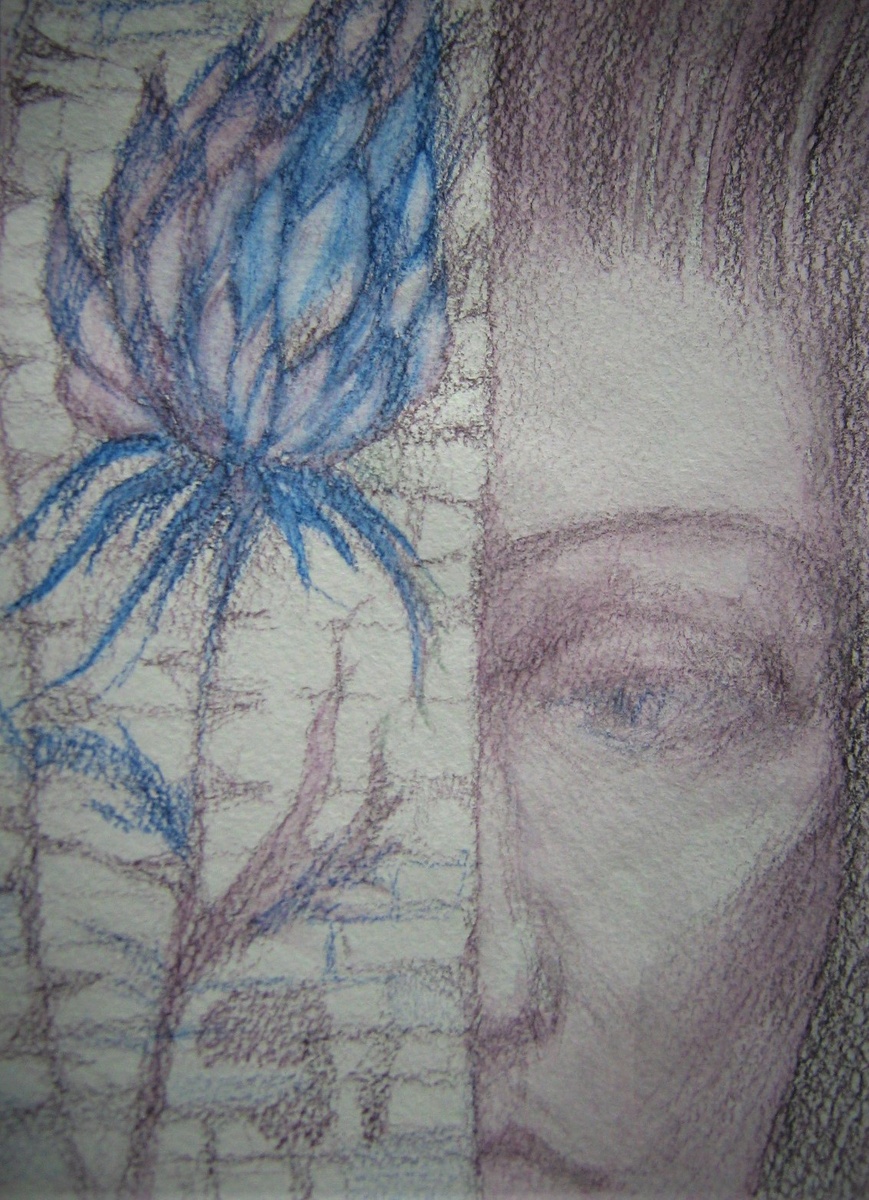 Рисунок автора