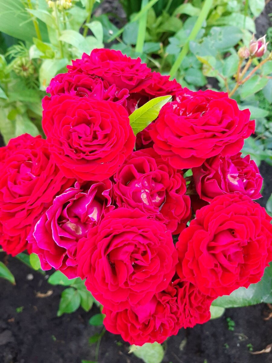 Фото из личного архива автора