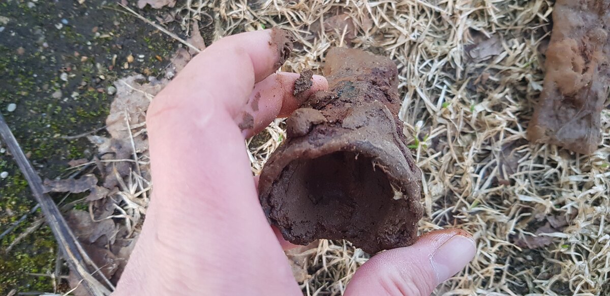 черенковая часть