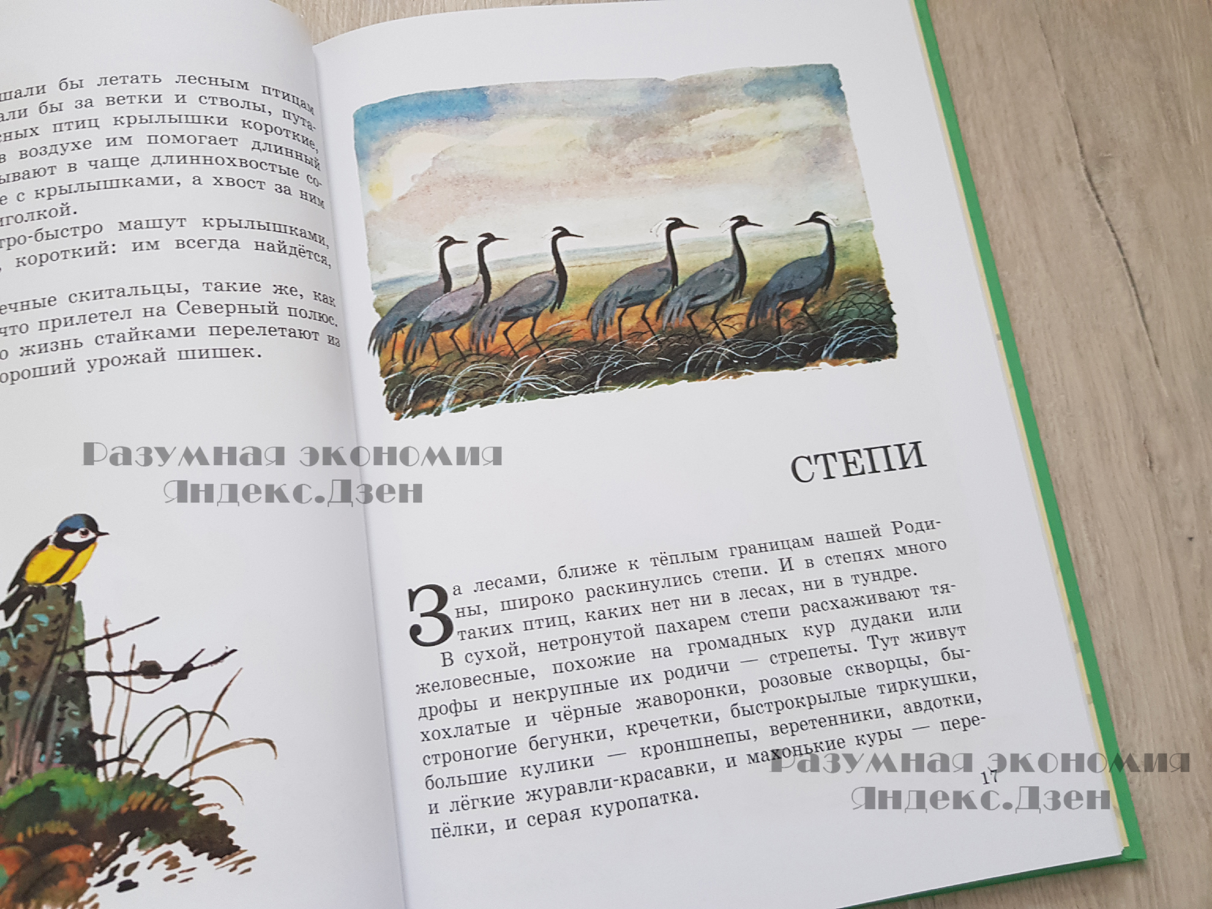 Потратила 10 тысяч на книги за пару недель. Обзор, магазины, цены37