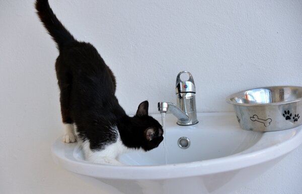 Саид Царнаев/РИА Новости