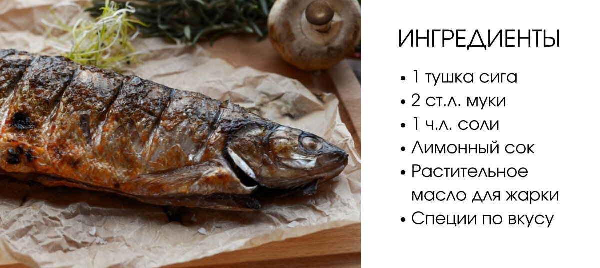 озерный многотычинковый сиг. сиговая рыба 5 букв. сиговая рыба 5 букв. королевский лосось чавыча. сижок рыба.