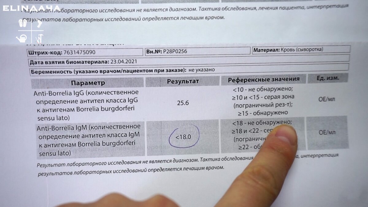 Сезон клещей в разгаре. Будьте внимательны и осторожны. 2020 Оренвело ВКонтакте