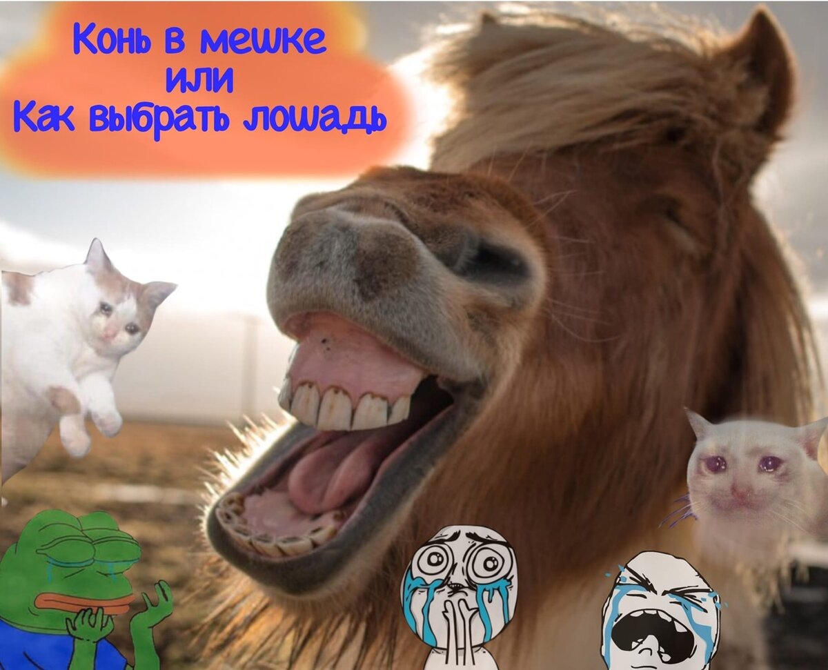 А вот это создала моя жена. На мой взгляд, отражает суть.