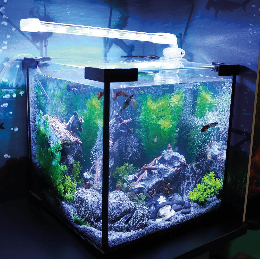 На фото – компактный аквариум Laguna AQUA CRYSTAL 18 л (арт. 73514001). 