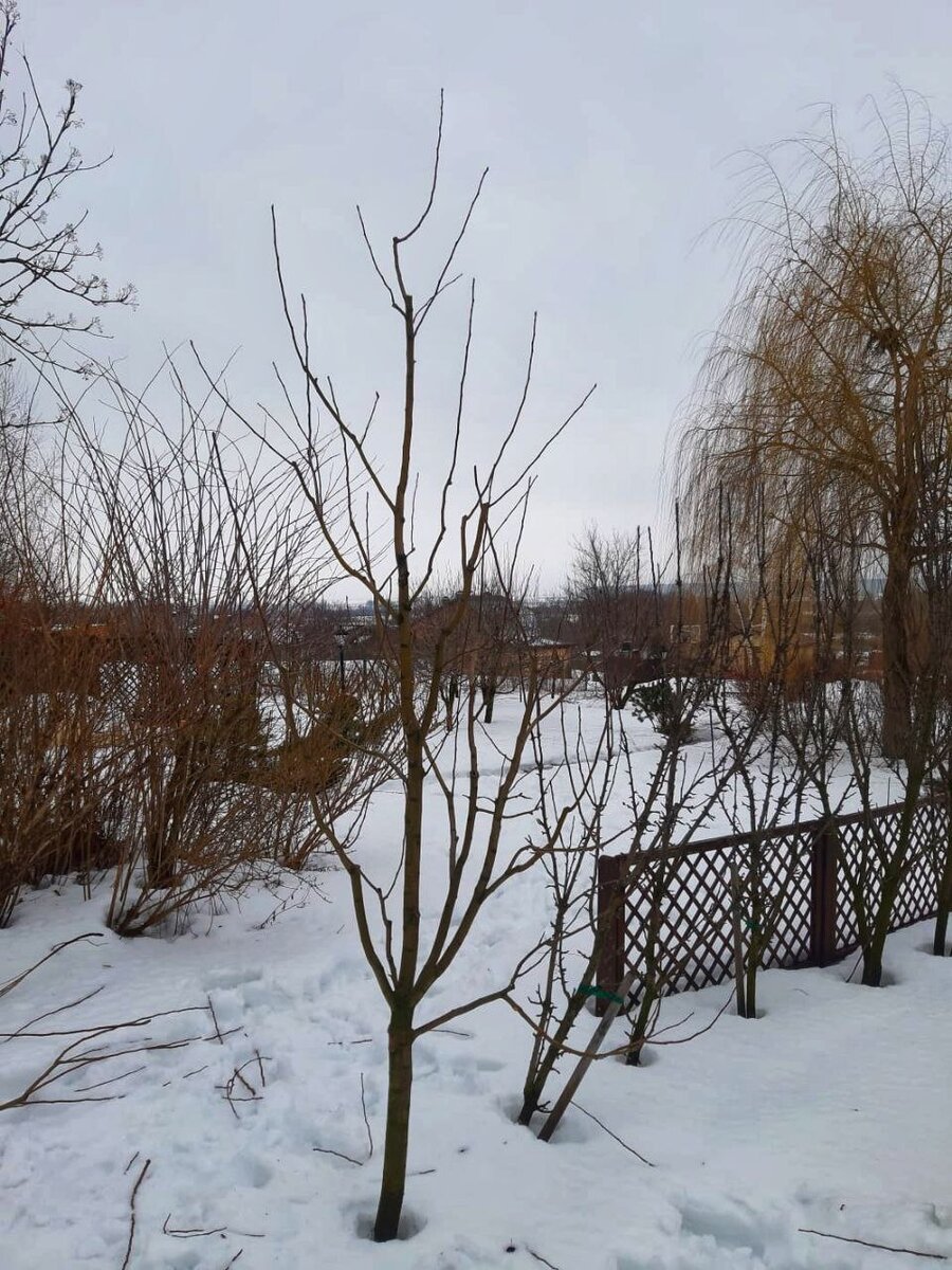 Фото работы бригадира Илья в Воронеже