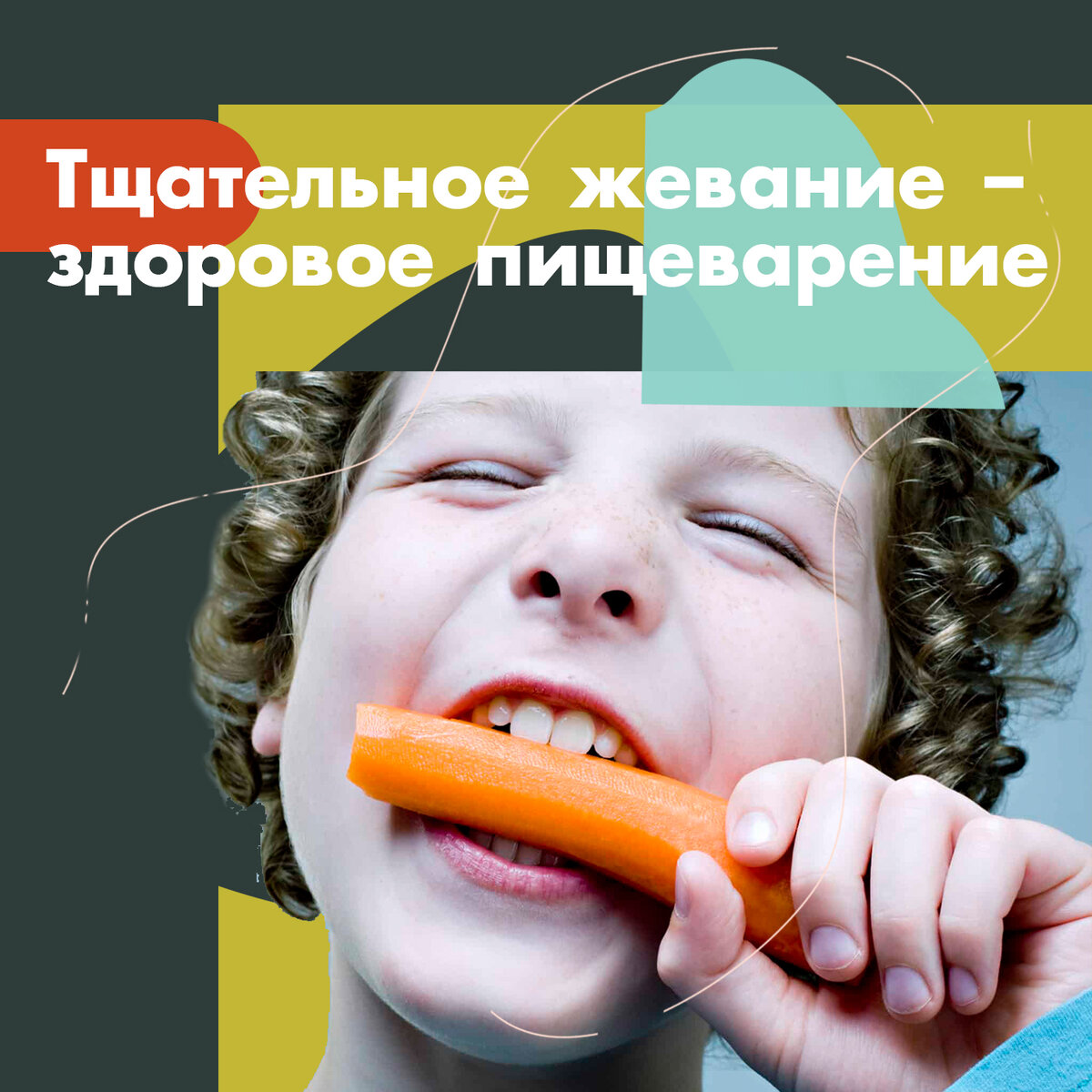 Пищу нужно жевать очень тщательно - это залог здорового пищеварения.