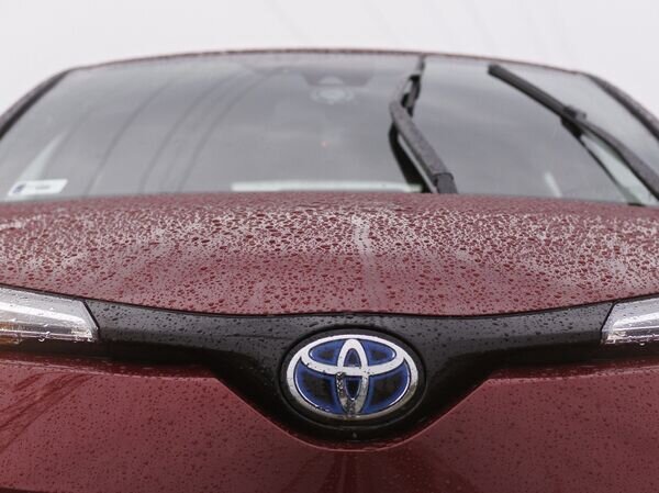   © CC0 / Public Domain Cicero7 / Pixabay