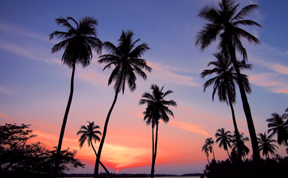    Шри-Ланка отменяет все ковидные ограничения на въезд туристов