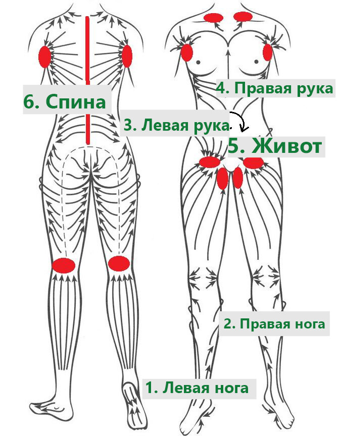 Схема массажа сухой щеткой. Антицеллюлитный массаж банками вакуумными схема. Баночный антицеллюлитный массаж схема. Массаж банками вакуумными от целлюлита схема. Баночный массаж от целлюлита схема выполнения.