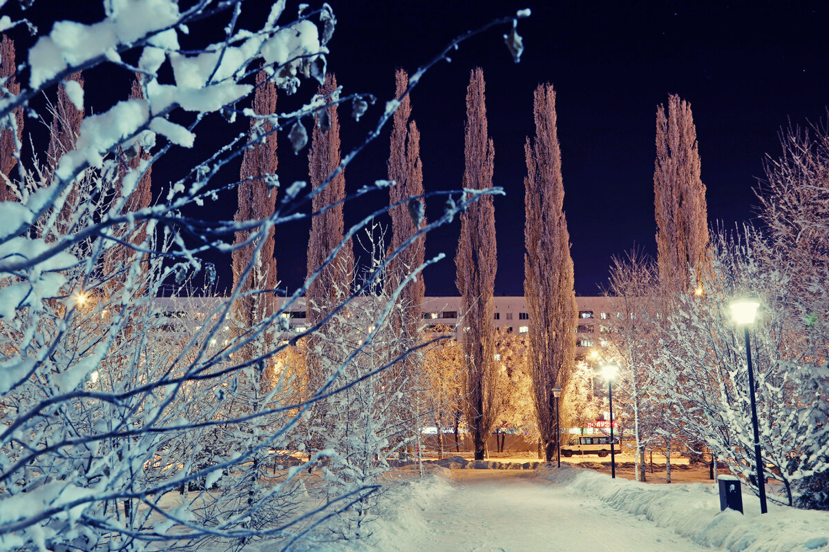 парки в уфе зимой