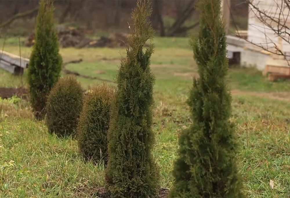 Фото: Петр Ломонос