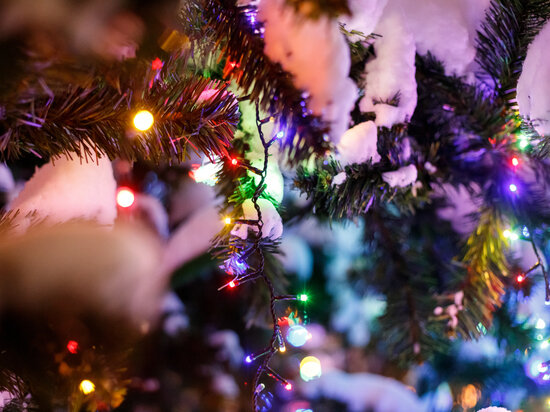     Вход во двор дачи Деда Мороза свободный / Вадим Боченков