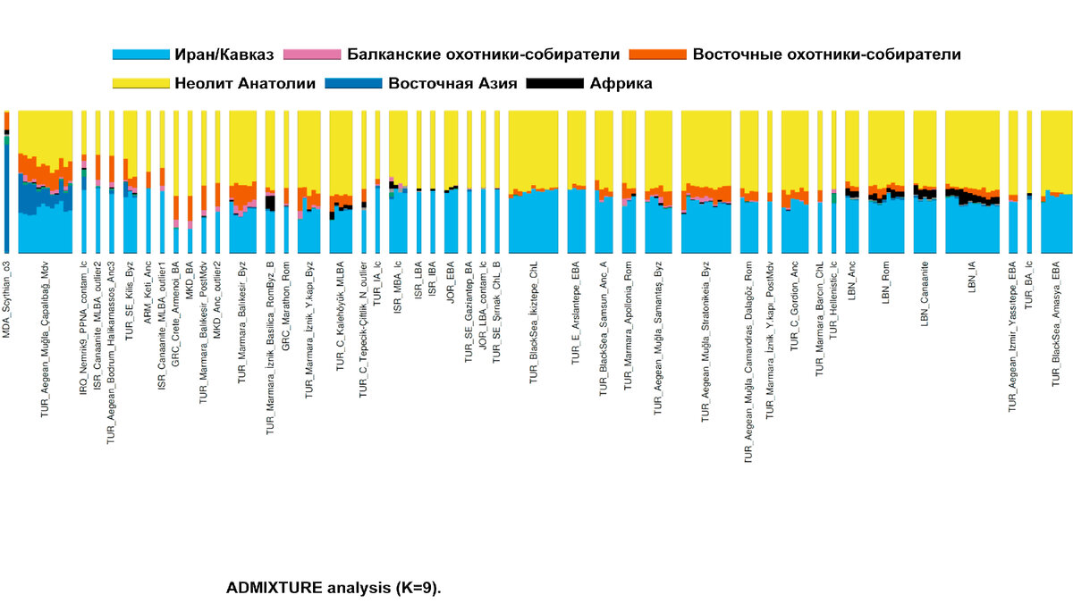 От Кавказа до Европы – генетическая история и индоевропейские языки