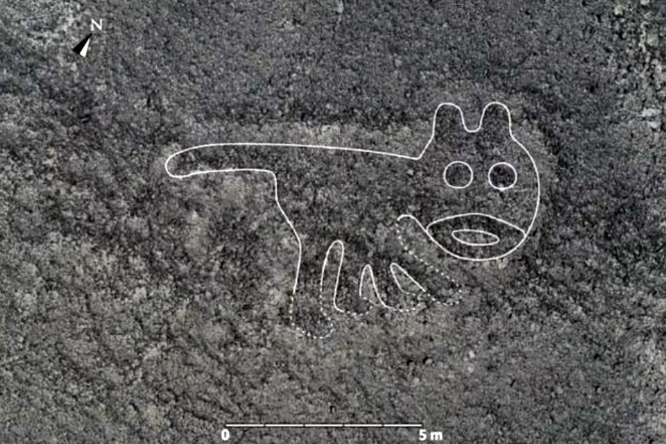     Кошечка: ученые не знают, что и думать по поводу неизвестных ранее геоглифов