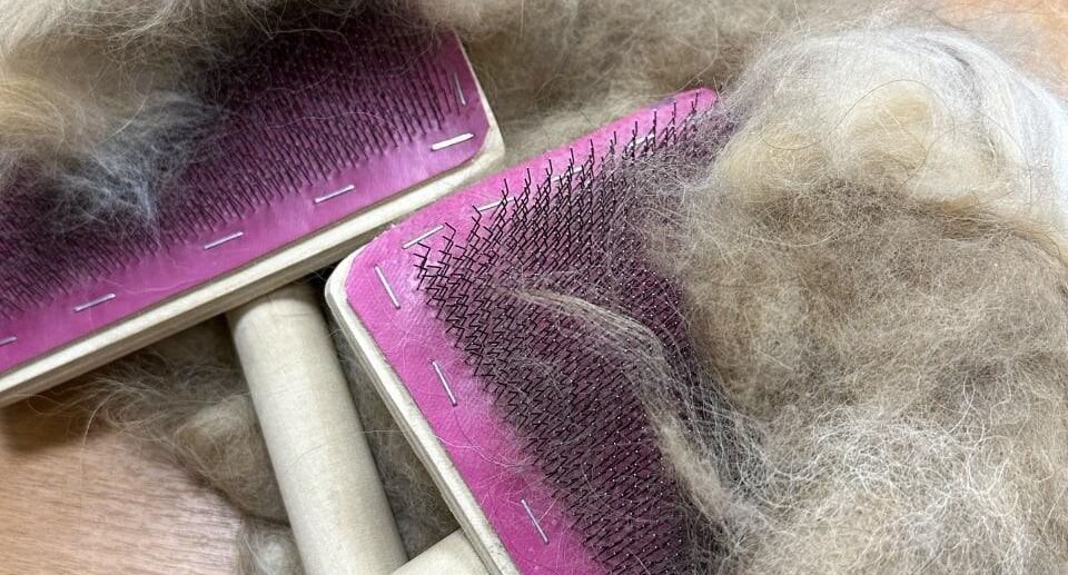 Фото: Юлия Лабецкая📷
