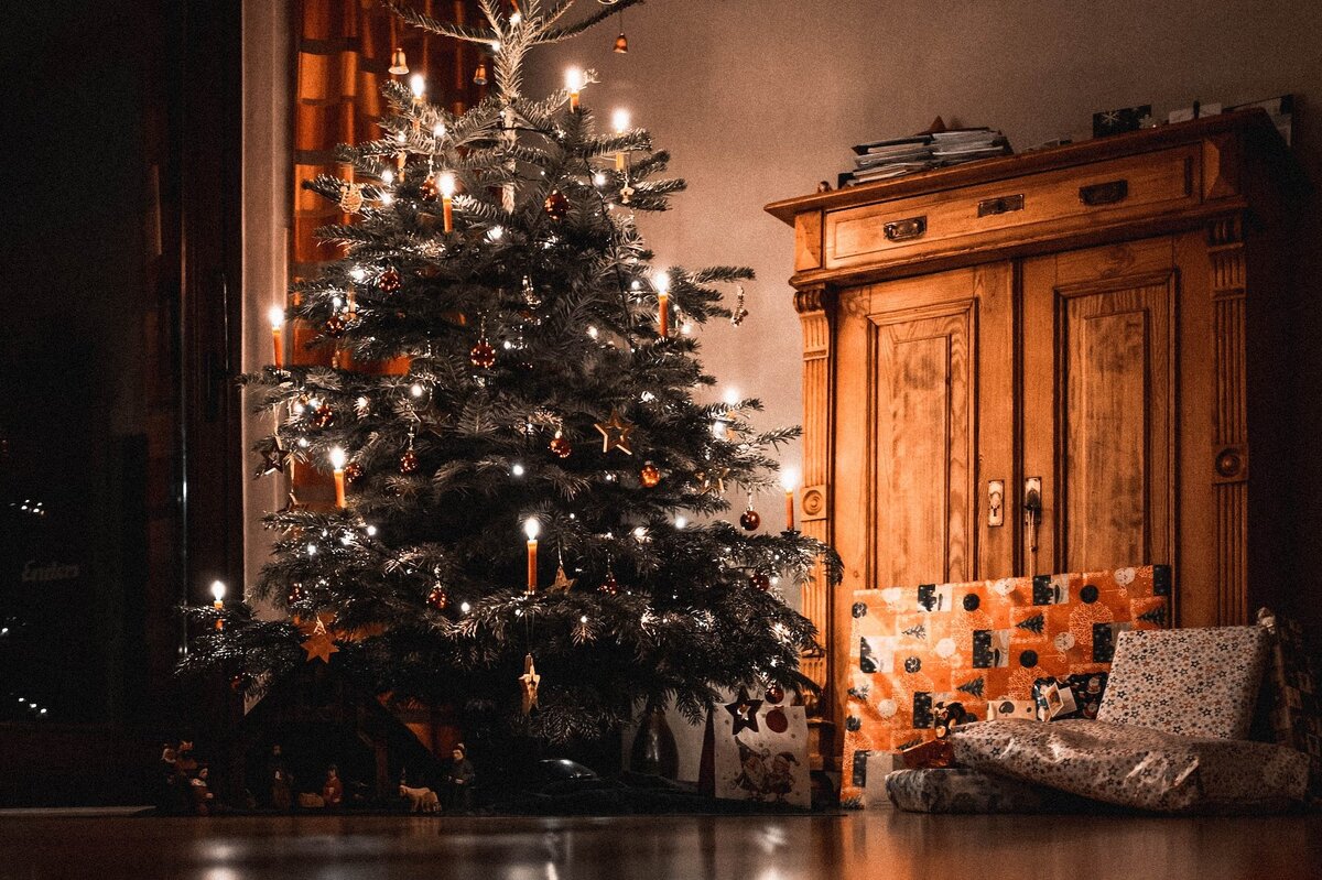     Как сохранить елку свежей до Нового года и дольше: проверенный советский метод, о котором многие забыли