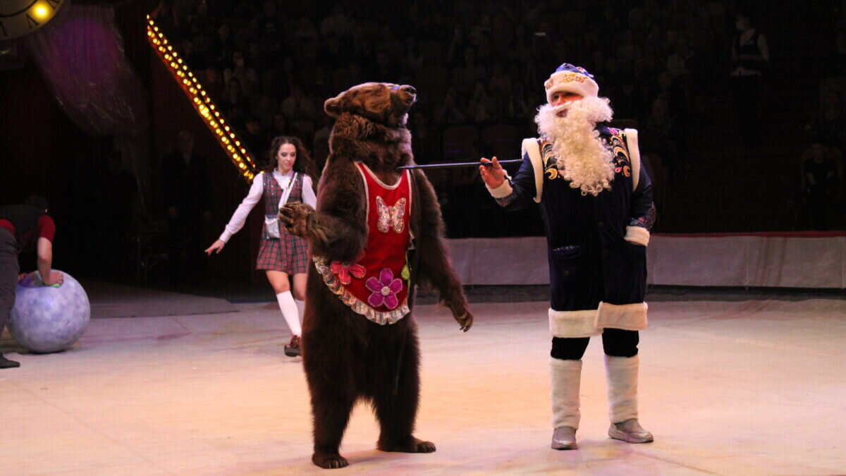 Фото: ИА SM.News📷
