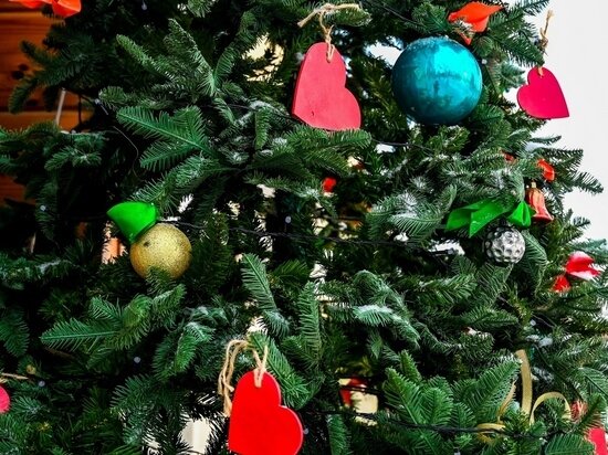     Фото: Людмила Ковалева