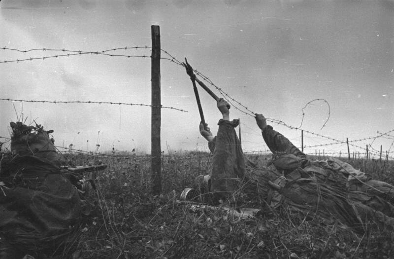 В памяти встают картины боевой молодости, трудной и суровой. Мы имели немного шансов дожить до победы.