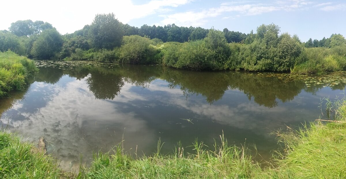 Не та речка, но похожая, в Смоленской области