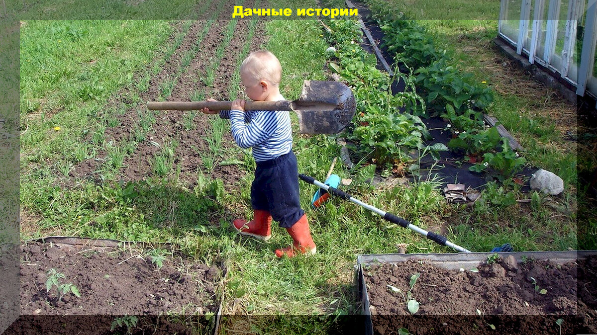 https://vk.com/photo-159774511_457258359