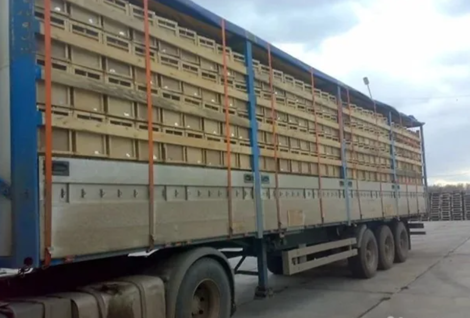 Гости из тёплого Узбекистана около 4000 пакетов по 4 рамки или 16000000 рублей