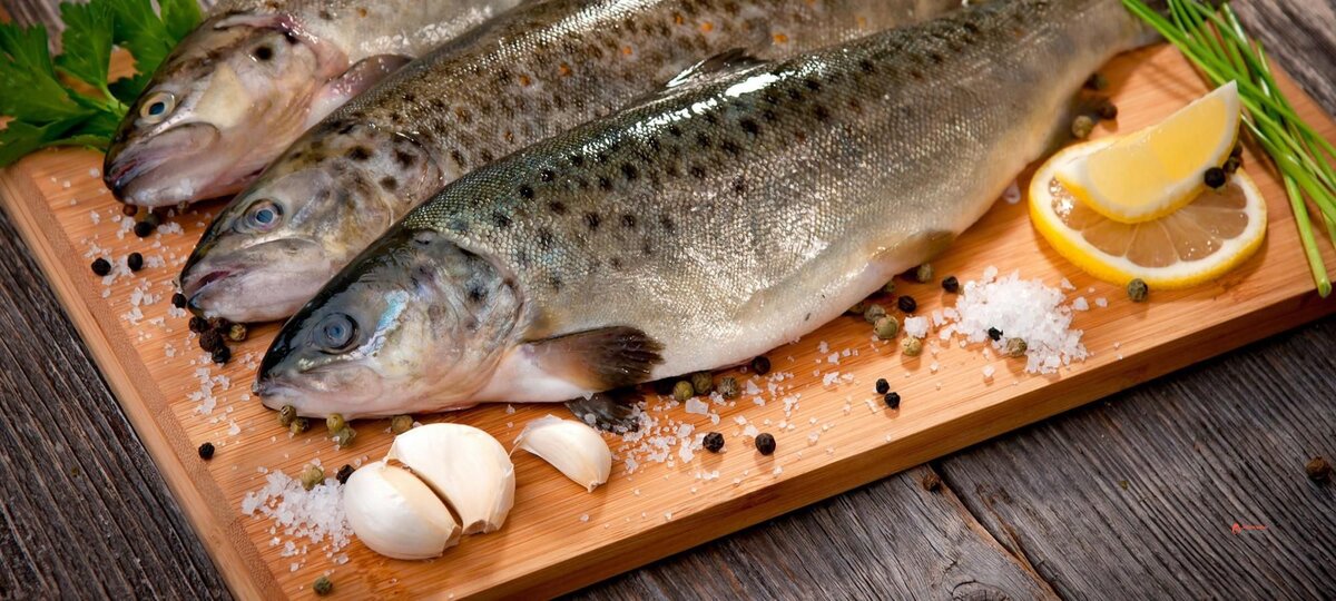 Фото с сайта: https://sgastronomy.ru/wp-content/uploads/2020/05/slide1-2000x900-1.jpg