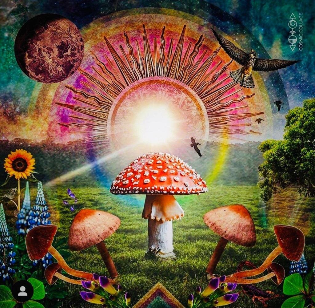 ЦАРЬ ГРИБ МУХОМОР