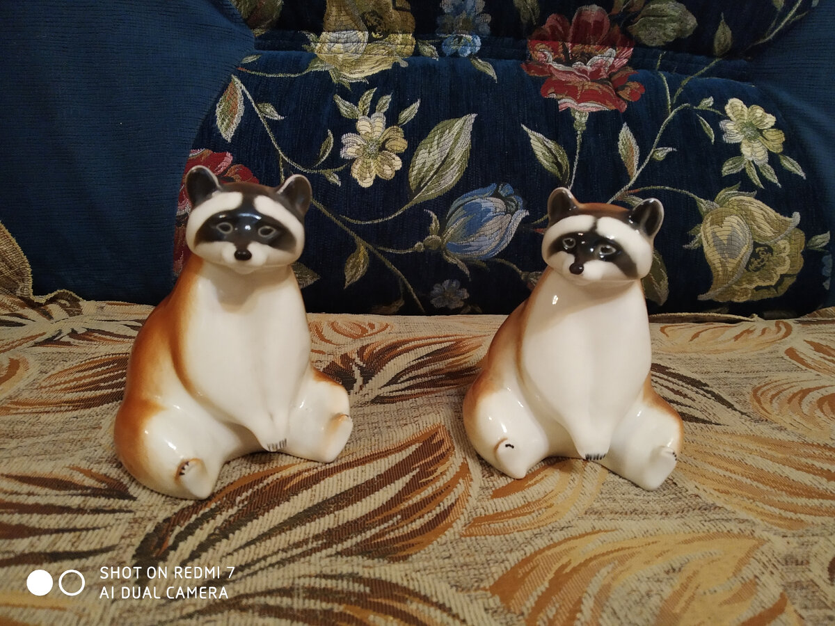 Сидячие еноты