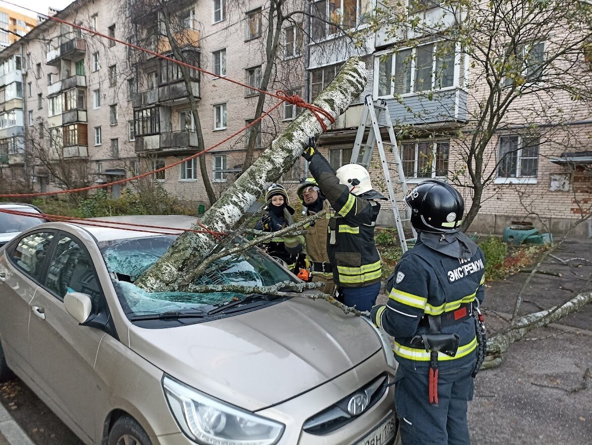 Потушить дупло мужчине, снять наручники, взломать дверь, заплатить за всё  из своего кармана и другие развлечения добровольных пожарных | Спасатели  Экстремум | Дзен