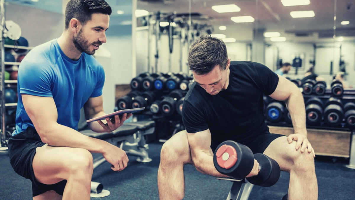 Рабочая тренировка