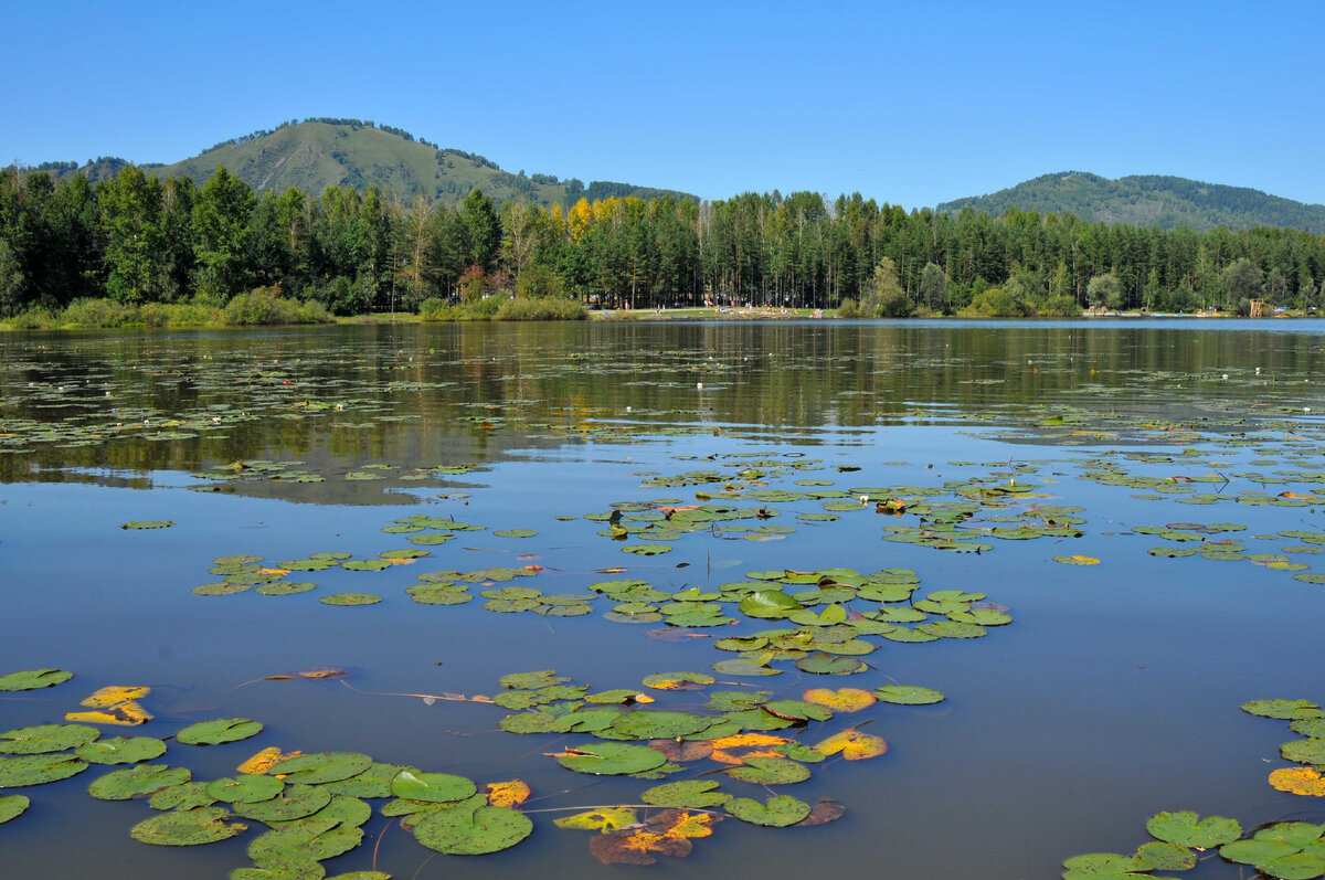 озеро можно ли проверить. оз байкал владимирская область. бездонное круглое озеро в солнечногорске. озеро линюха. озеро можно ли проверить.
