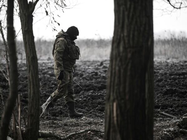   © РИА Новости Константин Михальчевский