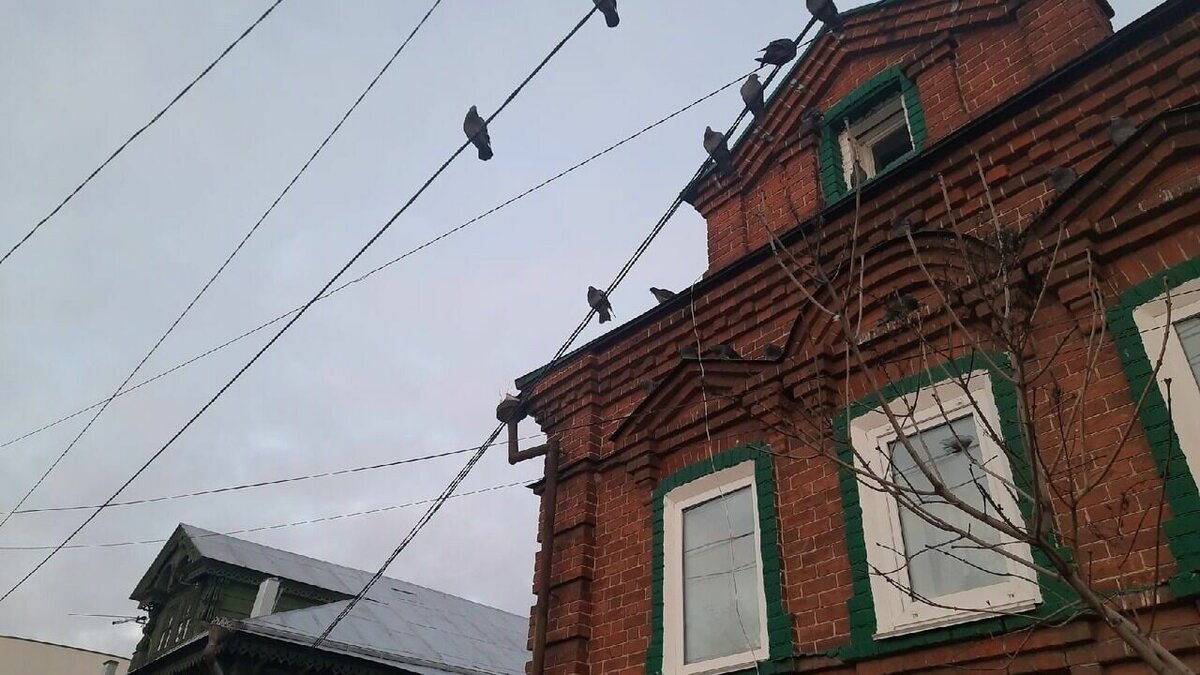     Пять мастер-планов комплексного развития территорий (КРТ) одобрили в Нижнем Новгороде в течение 2022 года. Данные об этом NewsNN предоставили в минграде региона.