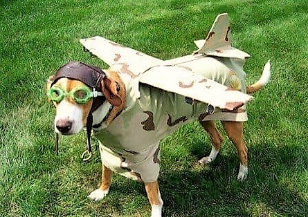 Есть одна у летчика мечта - это высота